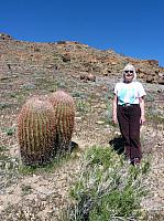mojave (7).JPG